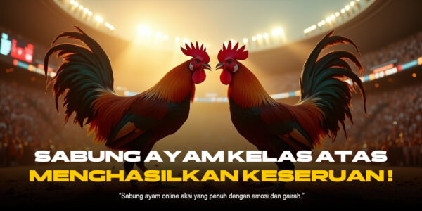 Mengenal Jenis Ayam Laga SV388 yang Paling Populer