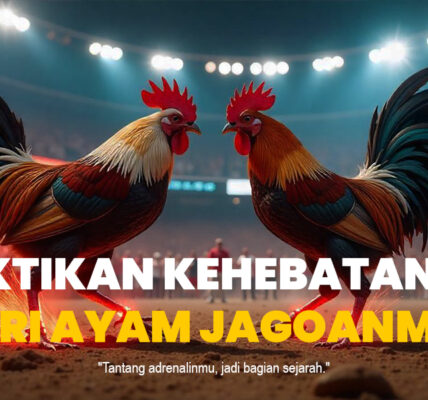 Mengenal Jenis Ayam Bangkok dalam Sabung Ayam SV388