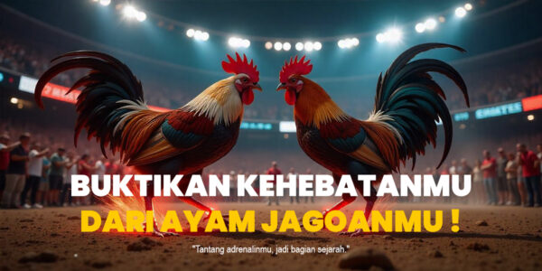 Mengenal Jenis Ayam Bangkok dalam Sabung Ayam SV388