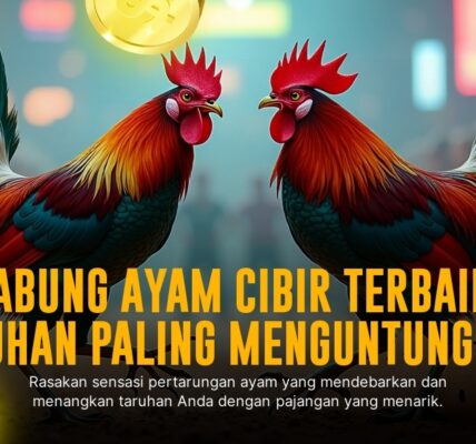 Mendalami Ras Ayam Bangkok Petarung di Sabung Ayam Online