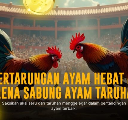 Mengenal Ayam Bangkok Aduan dan Keunikan Sabung Ayam Online SV388