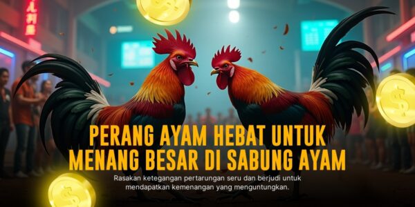 Kehebatan Sabung Ayam SV388: Jenis Ayam, Odds, dan Keunggulannya